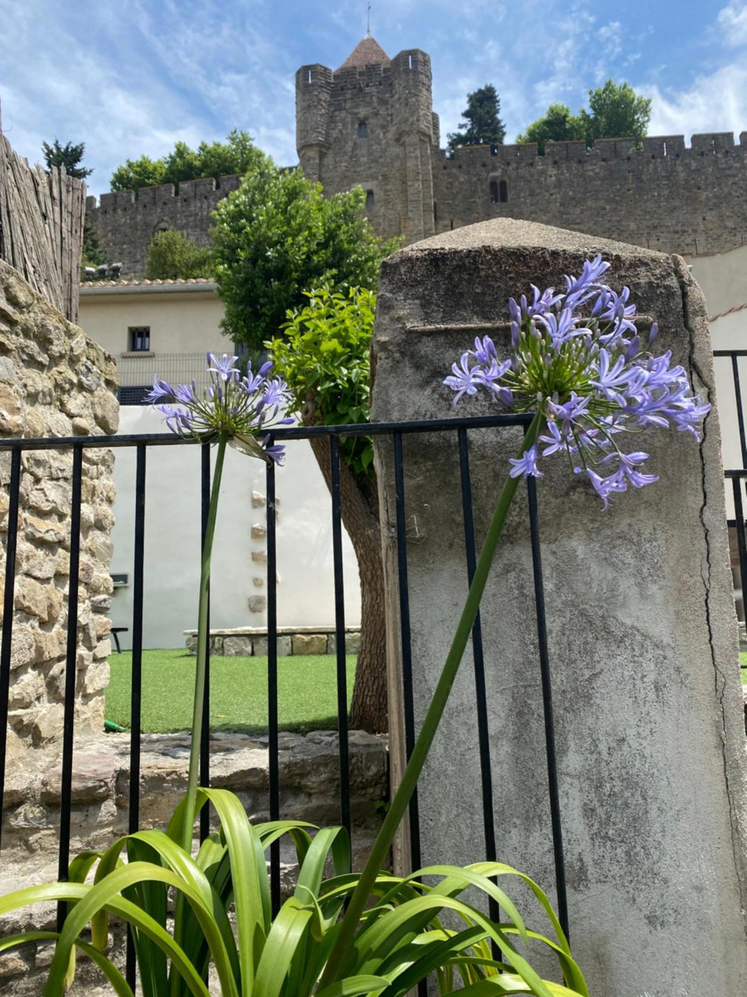 La Maison De La Tour Pinte Carcassonne Esterno foto